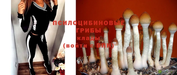 трава Лабытнанги