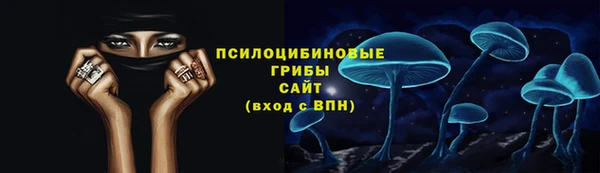 ПСИЛОЦИБИНОВЫЕ ГРИБЫ Лагань