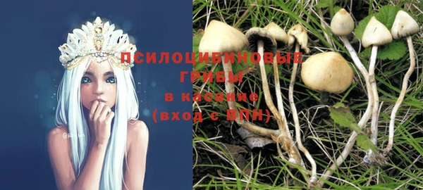 ПСИЛОЦИБИНОВЫЕ ГРИБЫ Лагань