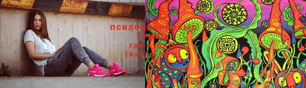 трава Лабытнанги
