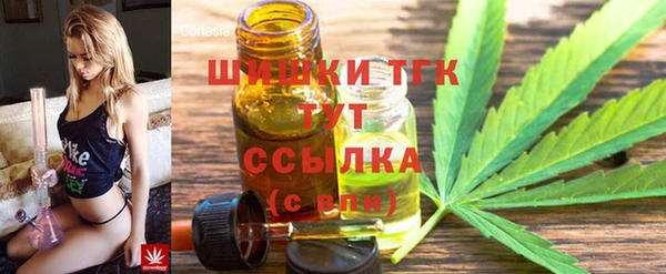 трава Лабытнанги