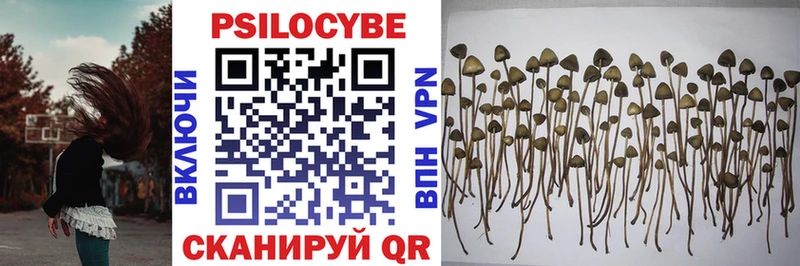 Псилоцибиновые грибы Magic Shrooms  Купить  Октябрьский 